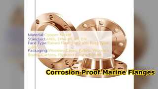 ASME B16.5 Copper Nickel Slip On Flange Marine Piping